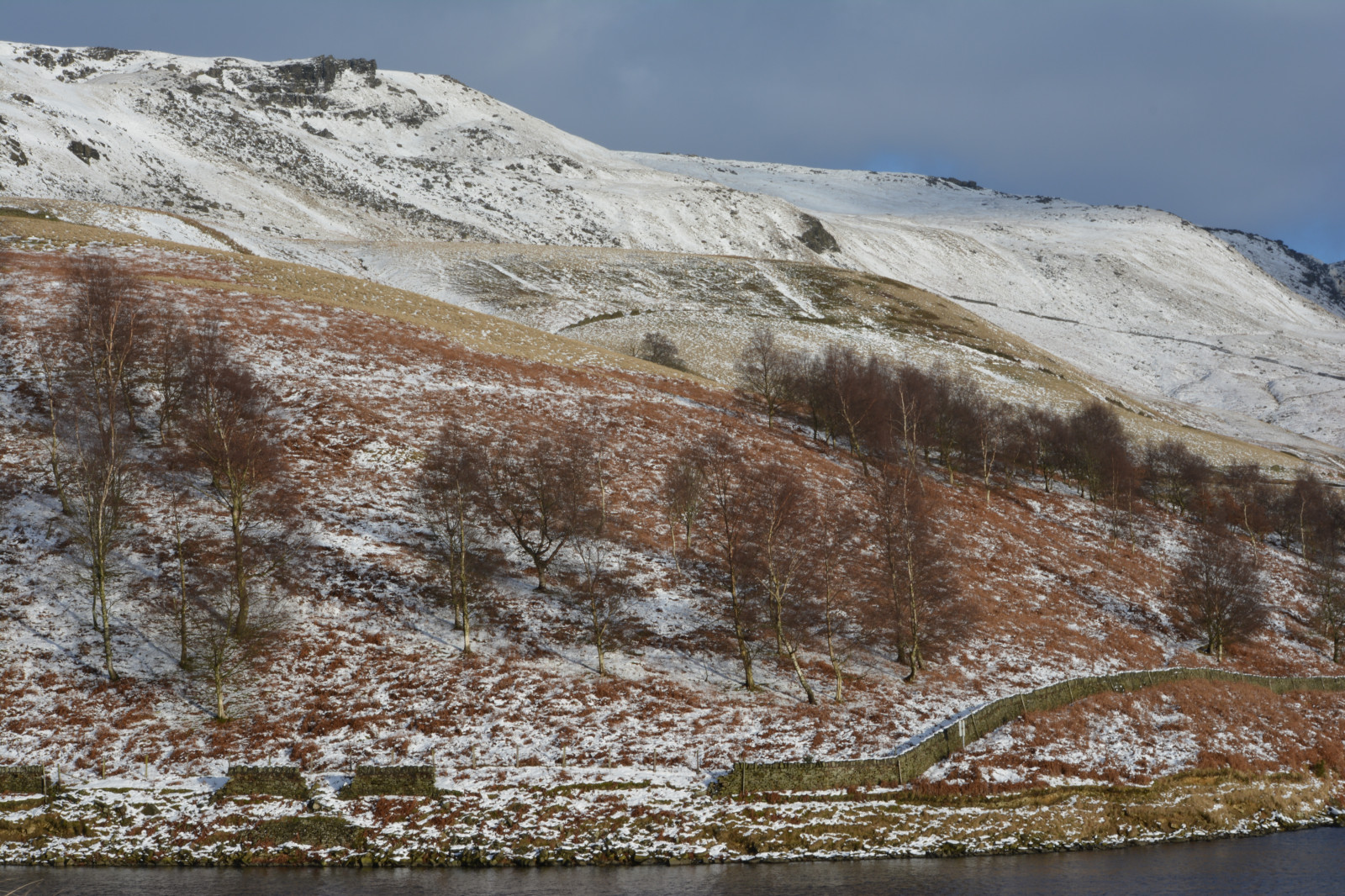 Anglie, Spojené království, Derbyshire, hayfield, Peak District, highpeak, kinder, kinderreservoir, wasser, voda, mountainside, hora, stráň, kopec, předhůří, hřbet, rockformation, stromy, trávníky, tráva, rašeliniště, zima, sníh, mrzutý, divoký, Clutherrocks, snowclad, slátanina, vřes, venkovní, krajina, kamenné zdi, nationaltrust