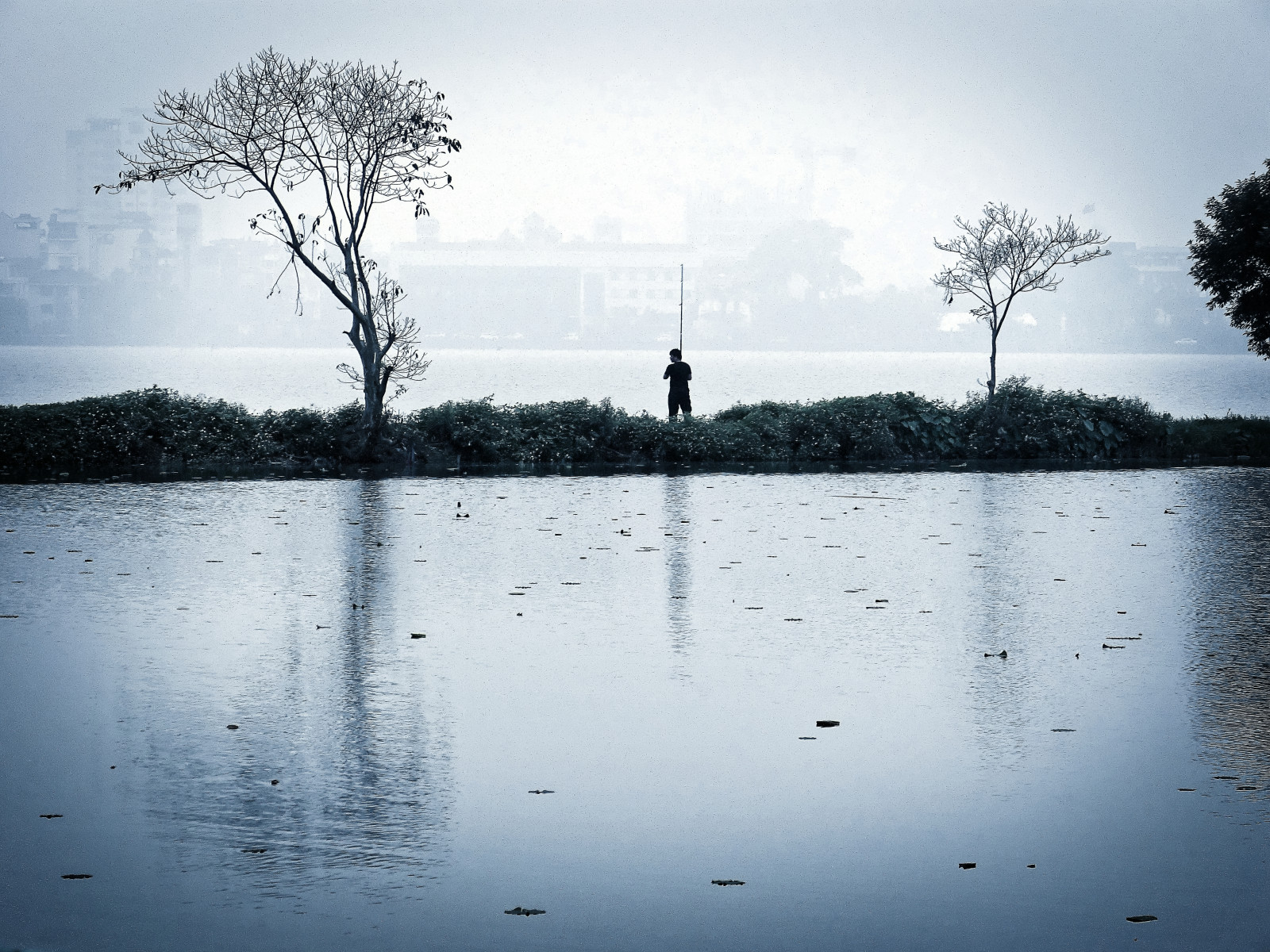 krajina, ulice, jezero, voda, odraz, tráva, nebe, větev, uklidnit, modrý, Studený, večer, ráno, mlha, řeka, horizont, atmosféra, stojící, život, rybník, Vietnam, banka, rybolov, mlhavý, Hanoi, mokřadní, mrak, strom, mlha, rostlina, muž, odrazy, tři, lumix, nádrž, bayou, bažina, jezero, Černý a bílý, dřevina, vodní pták, jev, odrážející bazén, lužní, vodní zdroje, západní jezero