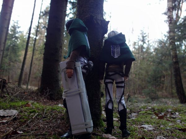 forest, cosplay, anime, grass, vehicle, path