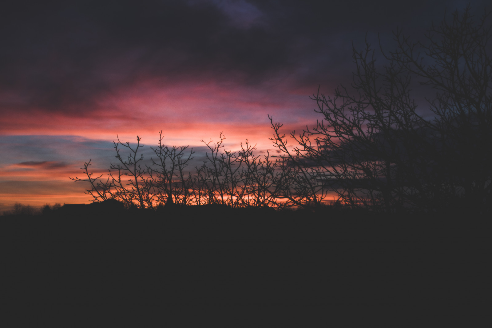 stromy, západ slunce, mraky, slunce, nebe