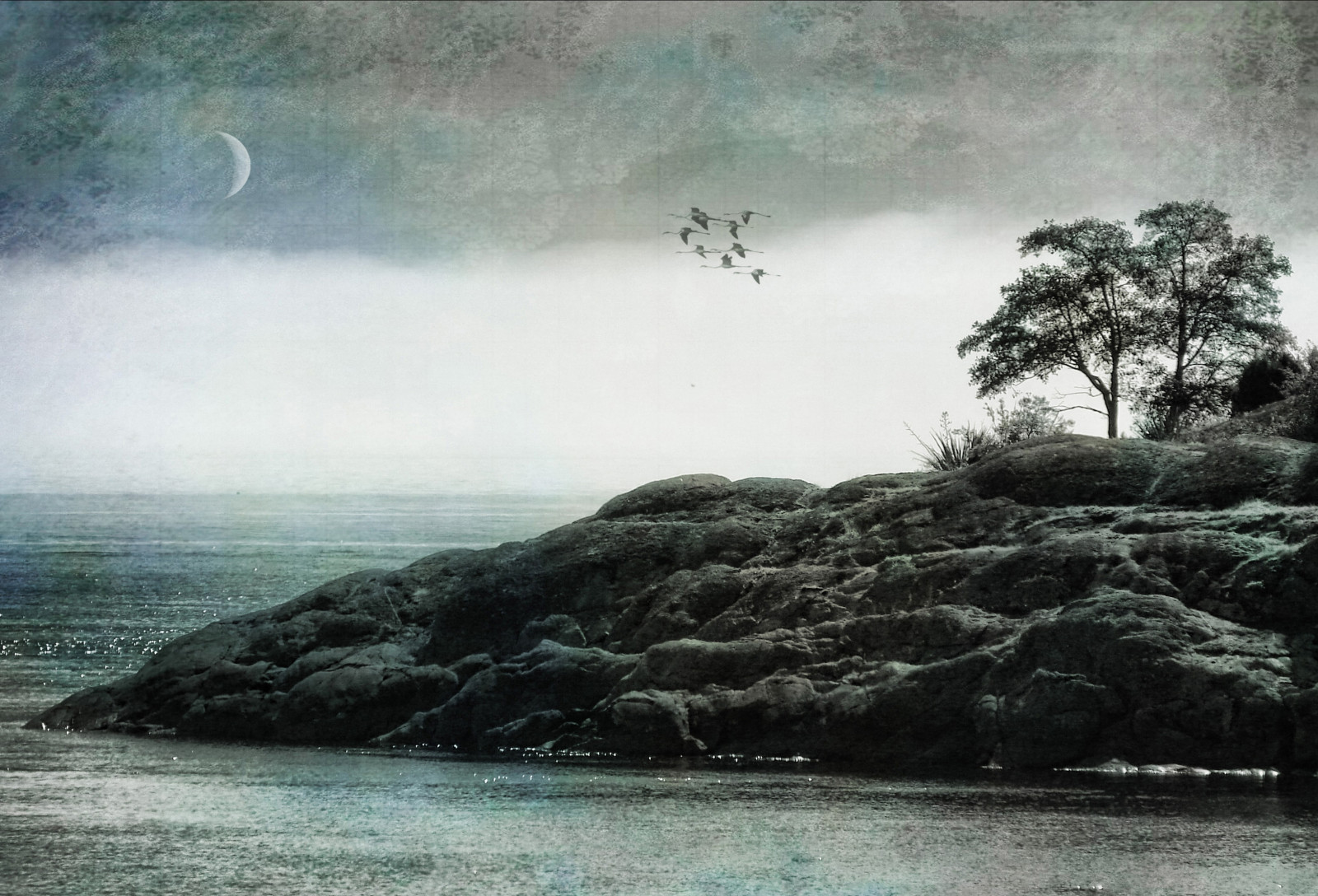 krajina, ptactvo, moře, město, záliv, voda, Skála, Příroda, pobřeží, pláž, Měsíc, Cestovní ruch, pobřeží, HDR, Kanada, letní, kanadský, Dovolená, klidný, dovolená, Pacifik, strom, cestovat, oceán, vlna, před naším letopočtem, klidný, profesionální, národní geografie, obraznost, magicunicornverybest, vancouverisland, magicunicornmasterpiece, selectbestexcellence, sbfmasterpiece, zedzap, victoriabc, newgoldenseal, jundefuca, hqphotography, atmosférický jev, tělo z vody, mořská vlna