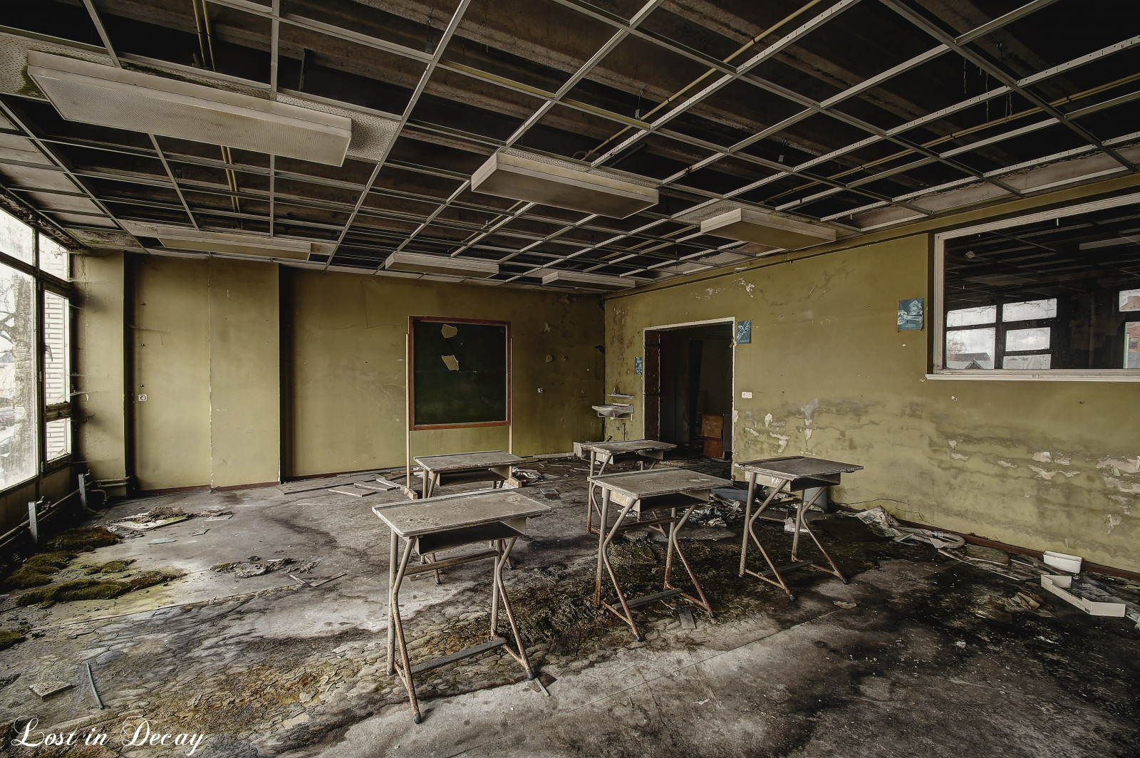 เขตเมือง, บ้าน