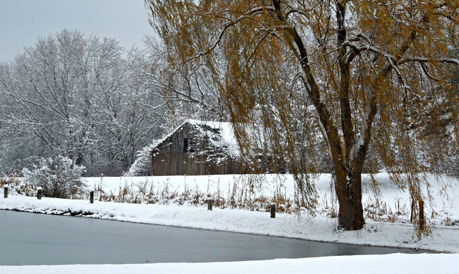 stromy, Ohio, sníh, Příroda, krása, stodola, venkovský, rybník, hospodařit, zvětralý, Plačící vítr, Snowcovered, 2014, portagecountyohio, suffieldohio