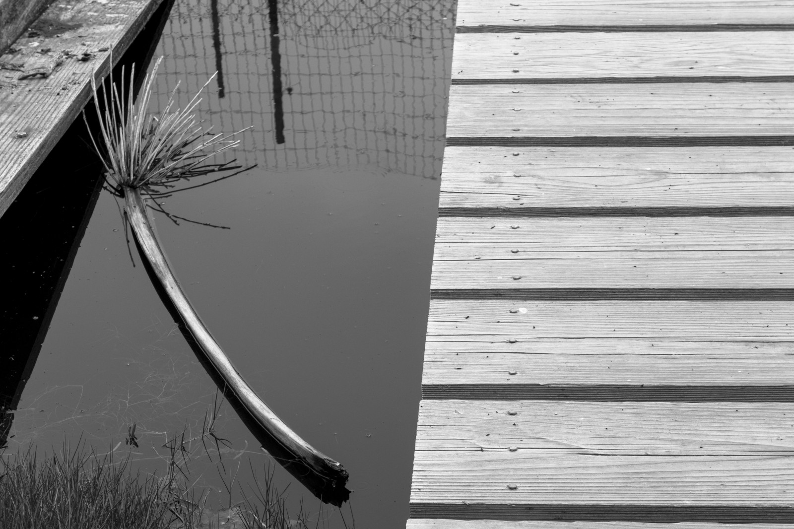 bílý, Černá, černobílý, odraz, stěna, fotografování, dřevo, modrý, Kánon, dok, objektiv, červen, M, 2014, světlo, barva, tělesné, tvar, čára, 60mm, eos, ef, Černý a bílý, monochromatické fotografování, canoneosm, eosm, jasdaco, adamsonhouse, efmlens
