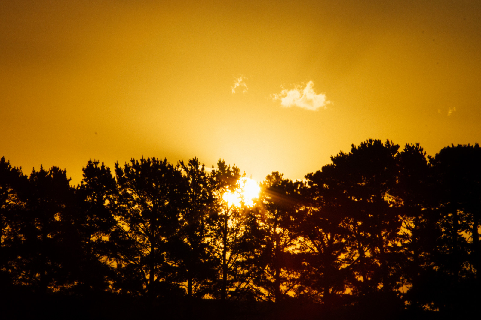 slunečnímu záření, stromy, západ slunce, noc, Příroda, odraz, nebe, silueta, svítání, žlutý, modrý, večer, ráno, slunce, Kánon, atmosféra, soumrak, Austrálie, fotoaparát značky kodak, Victoria, Lightroom, světlo, mrak, strom, zlatý, svítání, kodakgold100, Johnsonville, Bairnsdale, odlesk, astronomický objekt