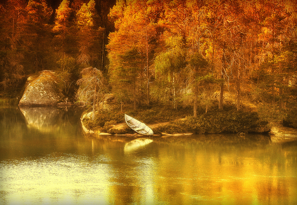 slunečnímu záření, les, voda, Příroda, odraz, Norsko, večer, ráno, divočina, strom, podzim, osamělý, list, sezóna, odrazy, abigfave, Soe, mywinners, impressedbeauty, aplusphoto, platinumphoto, blueribbonwinner, colourartaward, firstquality, odlesky, infinestyle, ysplix, proudshopper, zálesí, dragondaggerphoto, goldenmasterpiece, absolutelystunningscapes, místo výskytu, přírodní prostředí, atmosférický jev, dřevina, nikond200, veslice, identifikátory TOI ndeoro, capturethefinest