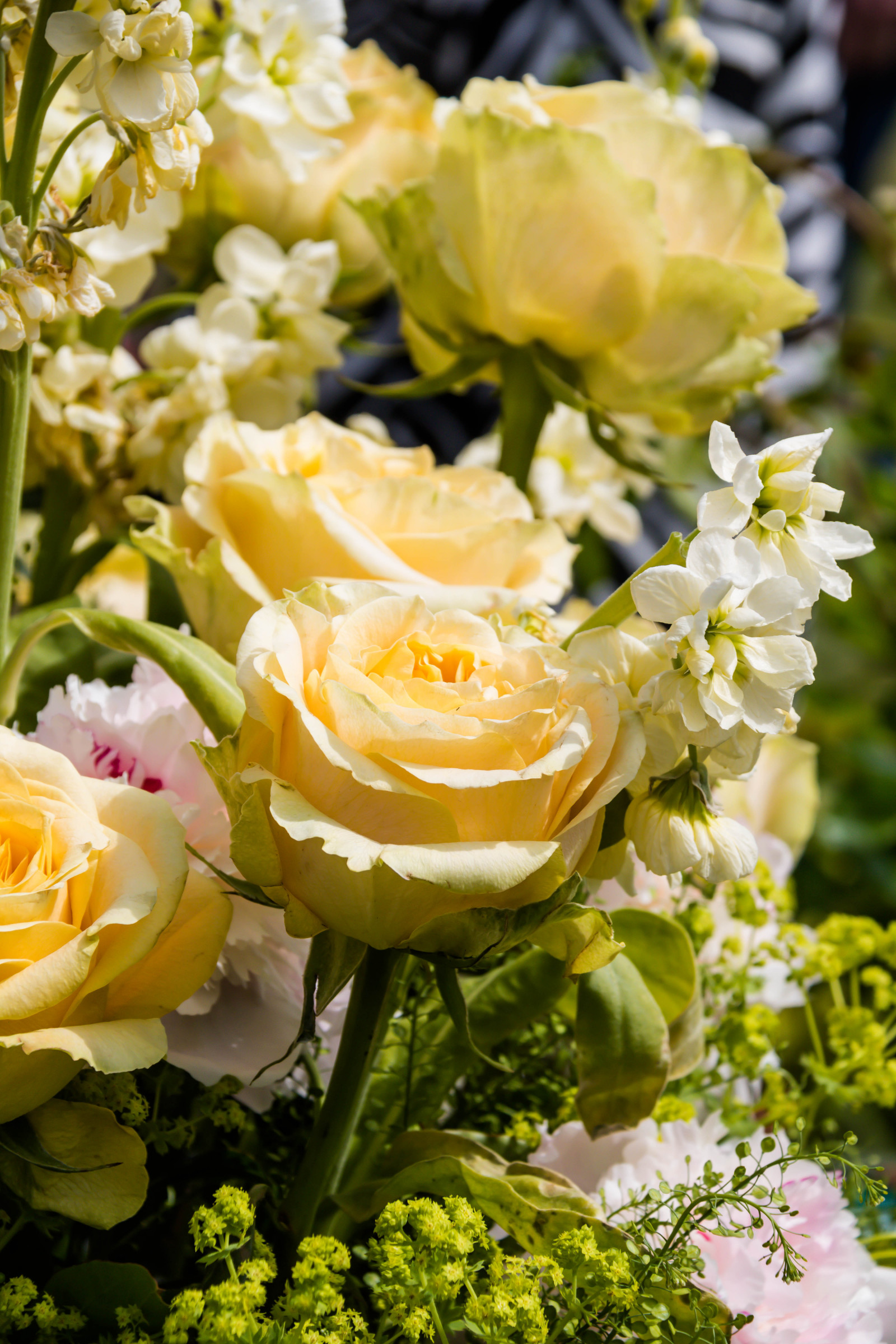 žlutý, růže, květ, květ, rostlina, flóra, Malmo, slottstr dg rden, exif modelu canoneos760d, Kamera aby kánon, Model fotoaparátu canoneos760d, geolocation, EXIF čočka efs18200mmf3556is, exif aby kánon, EXIF isospeed 100, EXIF otvor 90, exif focallength 120mm, okvětní lístek, publicgarden, gardenshow, suchozemská rostlina, kvetoucí rostlina, floristika, zahradní růže, kytice, aranžování květin, květinový vzor, řezané květiny