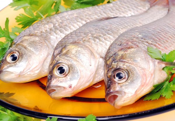 fish, parsley, Plate, carp, bass, three
