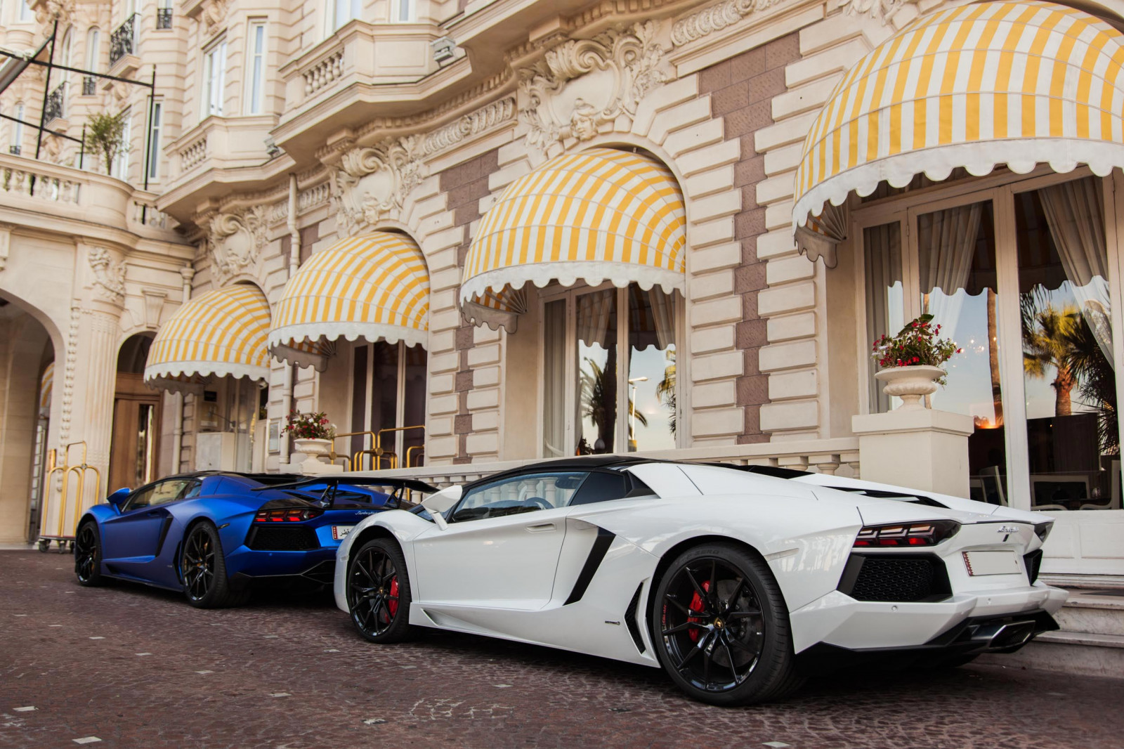 modrý, letní, Itálie, bílý, Francie, cars, auto, matt, fotografování, fotografie, Italia, Cannes, zadní, uae, voiture, rohož, coche, arabe, Budoucnost, lp, zadní, ete, 700, Lamborghini, bianco, superauto, italie, Katar, Roadster, KSA, Arabové, podélný, Arabes, 7004, Hypercar, worldcars, Aventador, lp700