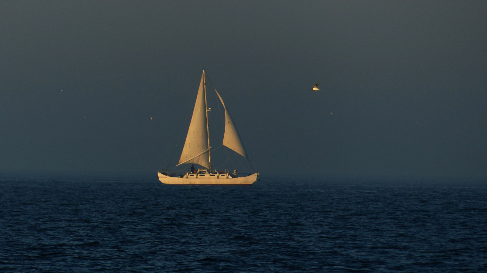 loď, loď, plachetnice, moře, voda, nebe, pláž, uklidnit, vítr, horizont, plachtění, oceán, jachta, vlna, pramen, plavidlo, kanál, plachta, wasser, meer, Nordsee, k ste, škuner, loď, dhow, Segeln, jola, Wangerland, Segeboot