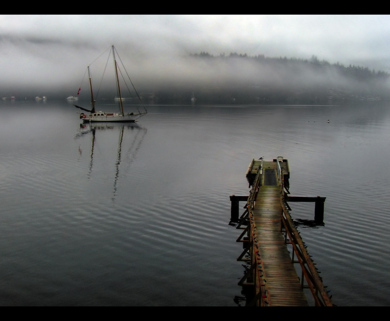 loď, moře, jezero, voda, odraz, nebe, zima, dřevo, uklidnit, Studený, ráno, mlha, řeka, HDR, textura, horizont, atmosféra, Kanada, ostrov, molo, dok, Vancouver, Casio, bezpečnost, mrak, strom, mlha, počasí, jachta, před naším letopočtem, stožár, Photomatix, vlnění, StumbleUpon, infinestyle, jezero, vodní, vstupní, exf1, Saanich