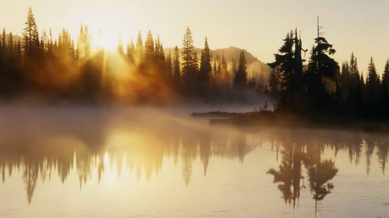 sunlight, trees, landscape, sunset, lake, nature sunlight, trees, landscape, sunset, lake, nature