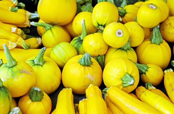 food,fruit,green,citrus,plant,yellow