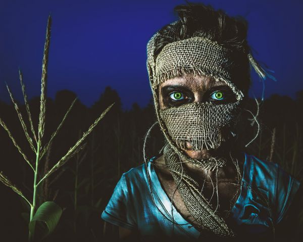 horror,Bryan McGowan,green eyes,scarecrows