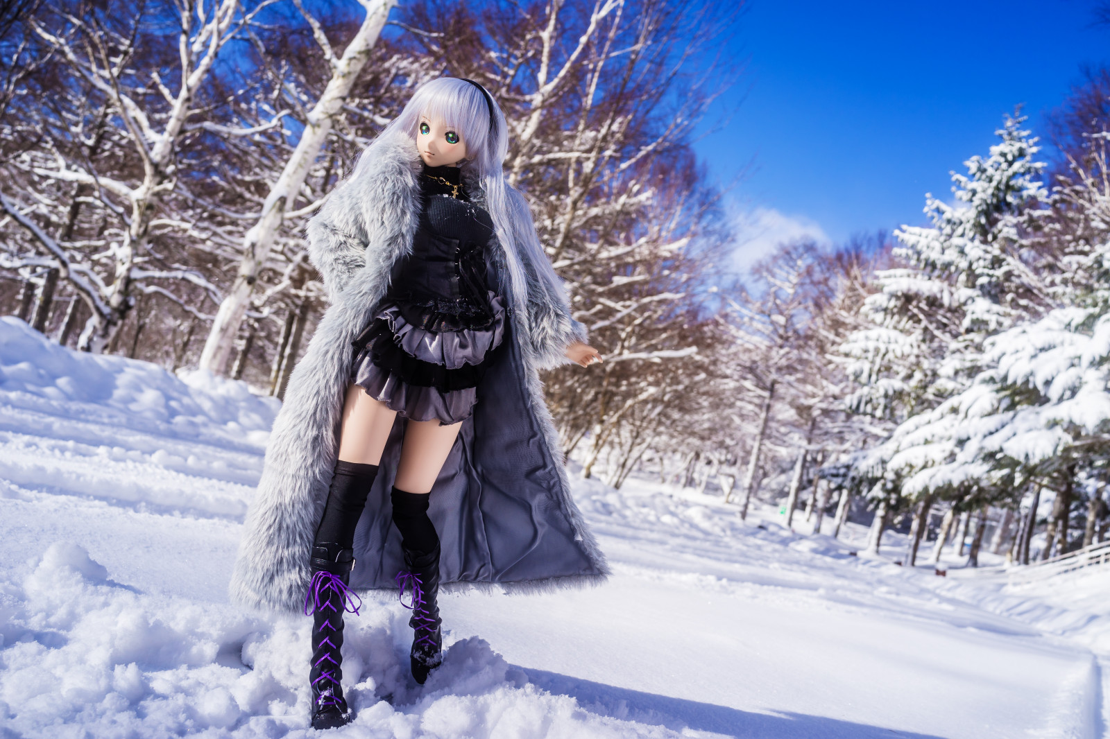 sníh, zima, led, mráz, Sony, zmrazení, RX1R, strom, dívka, zábava, dollfiedream, dd, dscrx1r