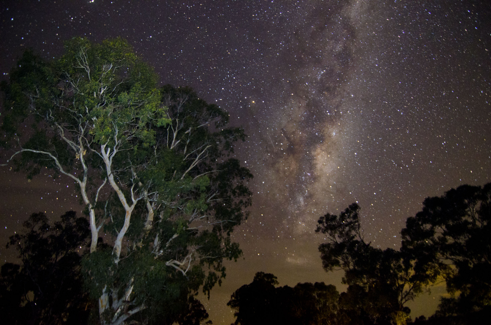 stromy, krajina, temný, noc, galaxie, Příroda, prostor, nebe, fotografování, Země, Fotoaparát, mléčná dráha, atmosféra, Nikon, vesmír, astronomie, Austrálie, Victoria, půlnoc, clona, venkovský, země, longexposure, expozice, mrak, strom, iso, flickr, fotografie, noční obloha, barva, barvitý, venkov, hvězda, fotografie, digitální, mléčná dráha, tma, noc, obraz, nikond7000, raychristy, highiso, Tokina, tokina1116mmf28, Heathcote, northernhighway, Atmosféra Země, vesmír, astronomický objekt, biome, meteorologický jev, jev, Centralvictoria, Galacticcentre