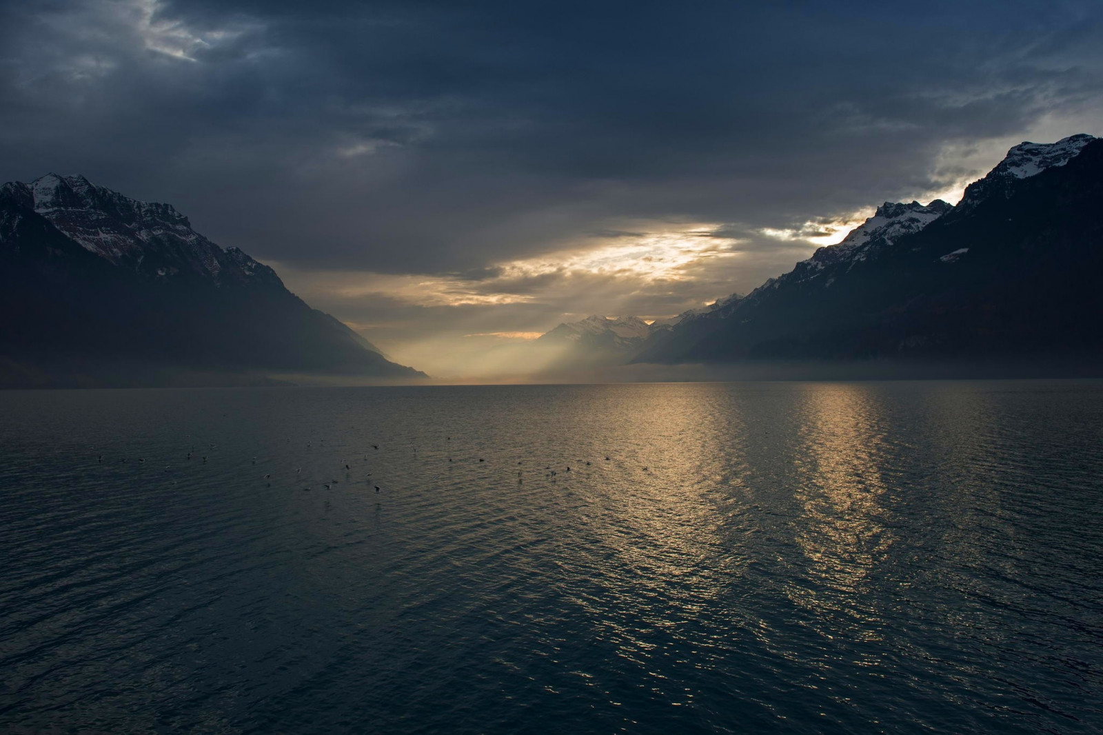 slunečnímu záření, krajina, ptactvo, temný, západ slunce, moře, záliv, jezero, Příroda, odraz, nebe, zima, mraky, svítání, zasněžený vrchol, večer, ráno, mlha, pobřeží, sluneční paprsky, horizont, atmosféra, fjord, Švýcarsko, soumrak, mrak, hora, svítání, oceán, 2048x1365 px, jezero, atmosférický jev, horských reliéf, tělo z vody
