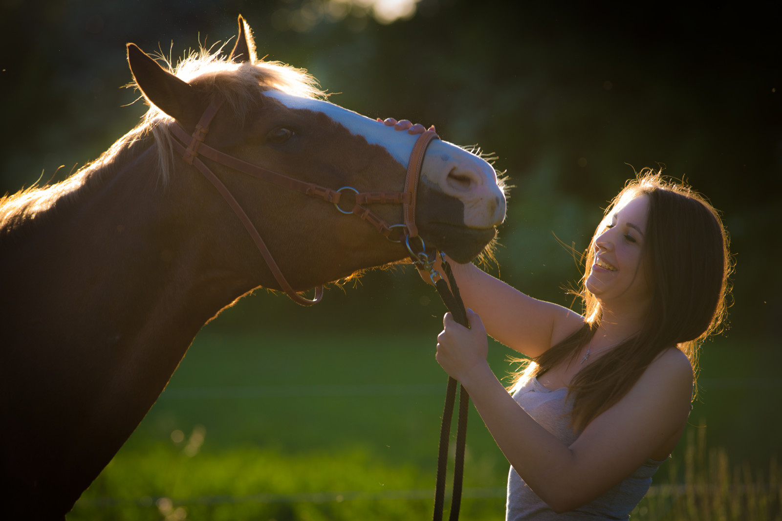 Wallpaper sunlight, grass, sky, backlighting, light, tree, girl, beauty, livestock, Rein, fun