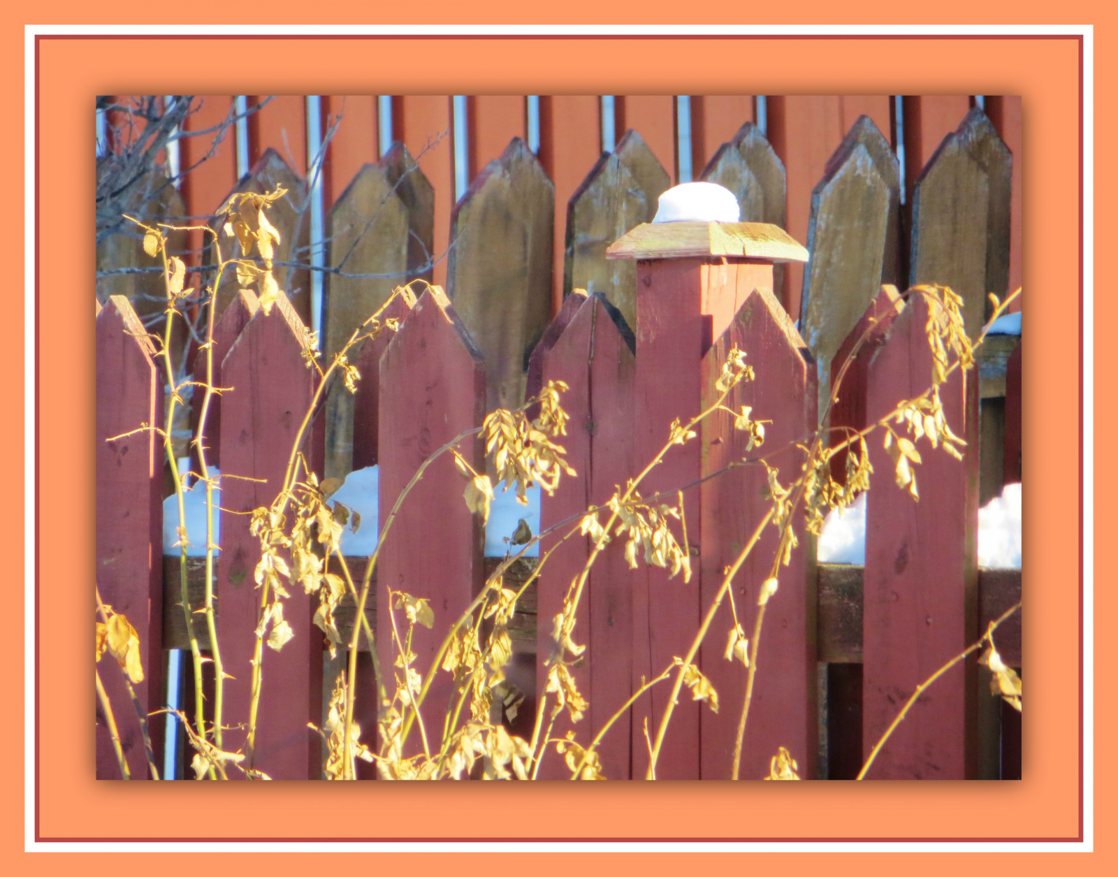 ไม้, เบา, หิมะ, แคนาดา, ศิลปะ, ธรรมชาติ, สวย, แดด, เยี่ยมยอด, เงา, dof, ศิลปะ, สี่เหลี่ยม, เอกลักษณ์, รูปแบบ, สาขา, กว้าง, ความคิดสร้างสรรค์, รูปทรง, รั้ว, ซันนี่, natura, เฟรม, รอบ, เลเยอร์, เพียงผู้เดียว, mygarden, สดชื่น, แคบ, Luce, เก่ง, สี่เหลี่ยมผืนผ้า, cornice, เบลโล, Sepa, Bellissimo, miogiardino, สามัคคี