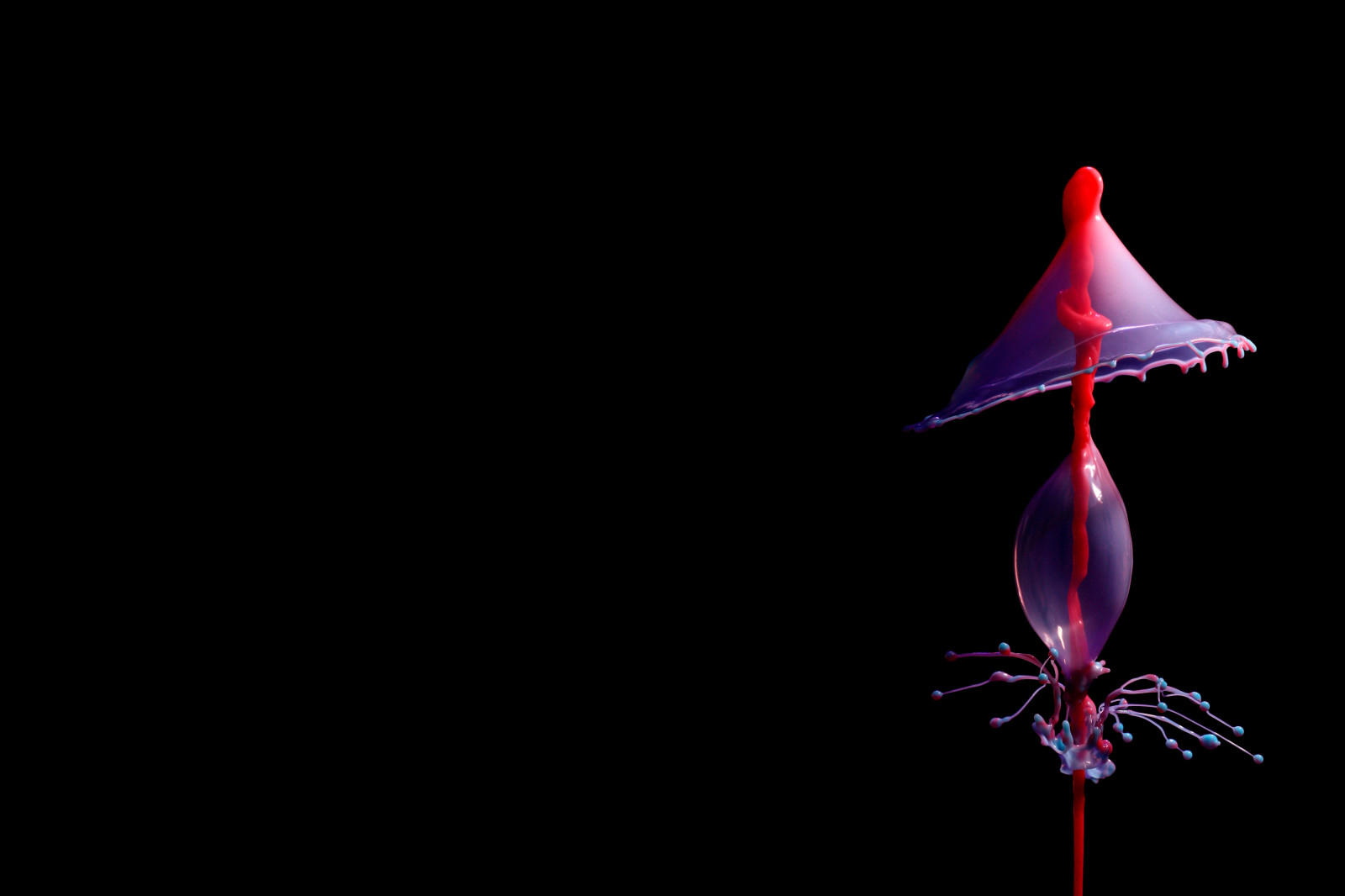 Wallpaper black background, ART, flower, drop, splash, darkness