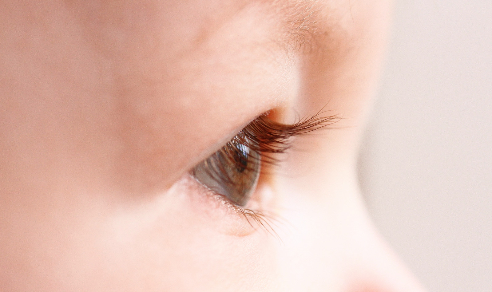 macro, uccelli, avvicinamento, Canone, cardellino, storno, nipote, 7d, birdwatching, canonefs60mmf28macrousm, canonef70200mmf28lisiiusm