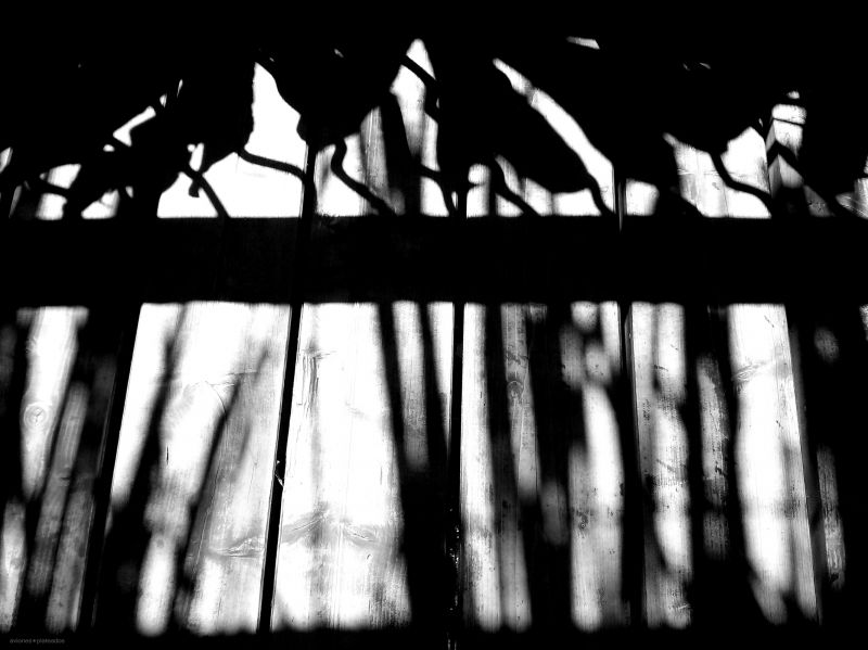 Černá,Černý a bílý,monochromatické fotografování,text,tma,struktura