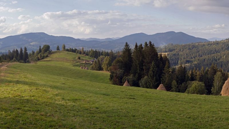 krajina, les, kopec, jezero, Příroda, údolí krajina, les, kopec, jezero, Příroda, údolí
