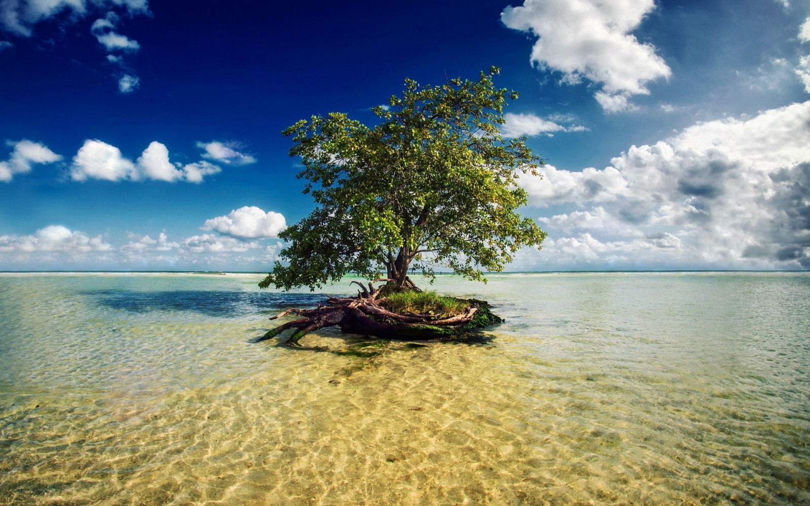 lumina soarelui, peisaj, mare, dafin, lac, apă, natură, ţărm, reflecţie, cer, plajă, coastă, orizont, insulă, lagună, Insulele Caraibe, concediu de odihna, nor, copac, ocean, insuliță, tropice, plante lemnoase, corp de apa, arecales