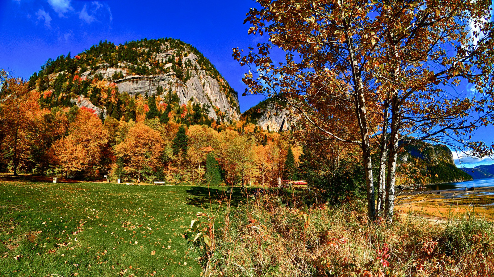 krajina, park, řeka, Kánon, Kanada, fjord, divočina, 2013, Quebec, paysage, strom, podzim, list, hora, květ, sezóna, louka, automne, 7d, parc, zálesí, Saguenay, que bec, rivie re, saguenaylacsaintjean, paysagedusaguenay, saguenaylacstjean, canonef815mmf4lusm, normandgaudreault, parcnationaldusaguenay, parcdusaguenay, parcnationaldufjorddusaguenay, venkov, místo výskytu, dřevina, ekosystém, rivie reeternite