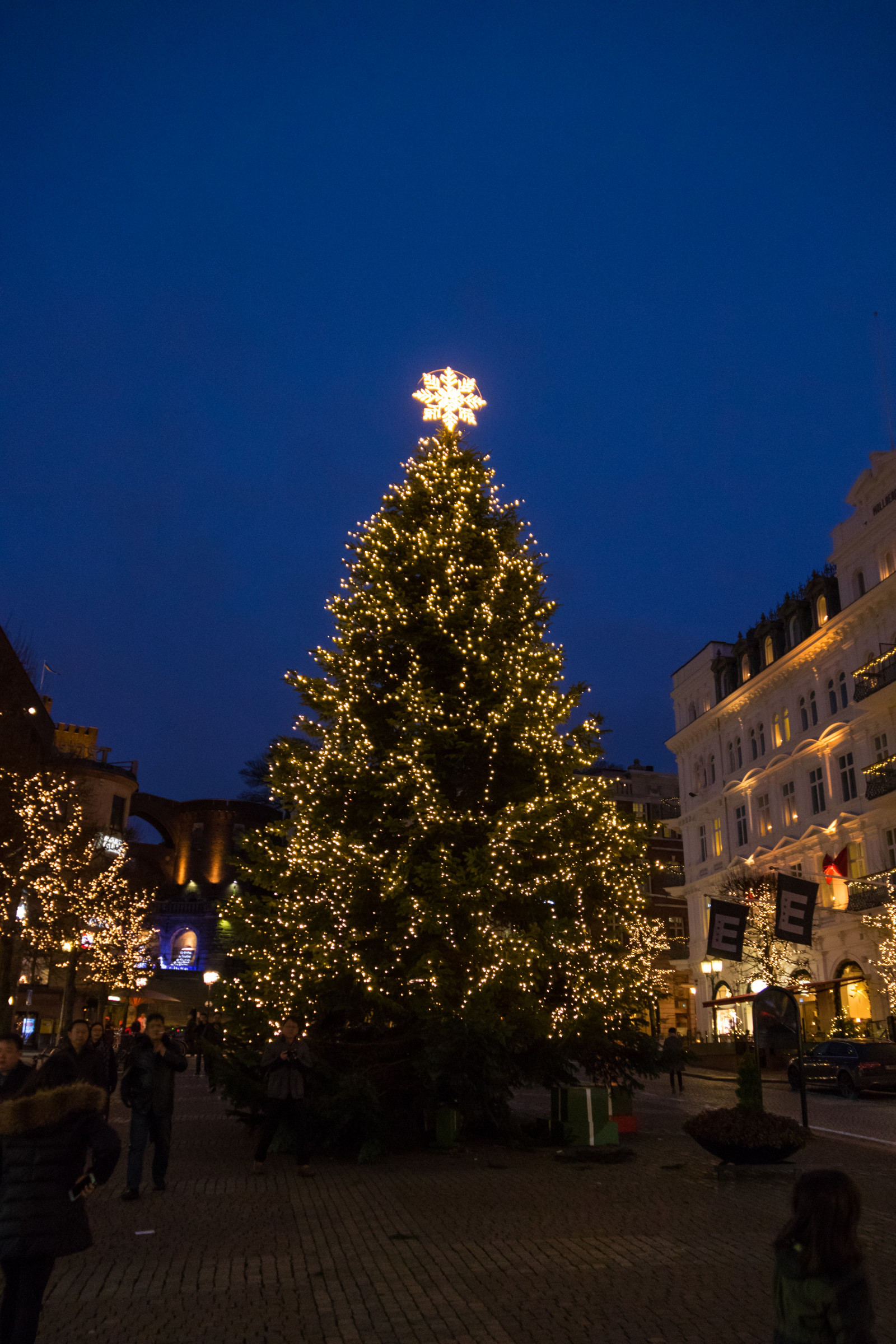 Wallpaper : city, cityscape, night, evening, Christmas Tree, dusk
