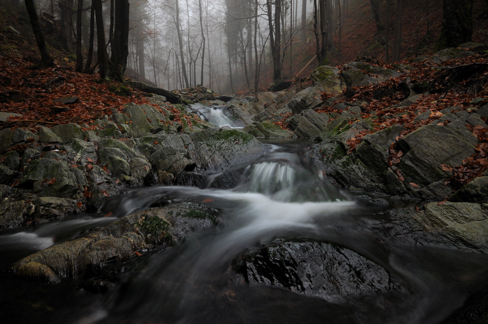 Skov, efterår, bjerge, vandfald, vand, klippe, natur, vinter, træ, flod, klipper, Polen, ødemark, strøm, Tåget, dis, tjekkisk, LE, longexposure, træ, efterår, tåge, blad, sæson, vandløb, blade, Hurtig, skov, falls, atmosfærisk fænomen, krop af vand, geologisk fænomen, vand funktion, Krkonose