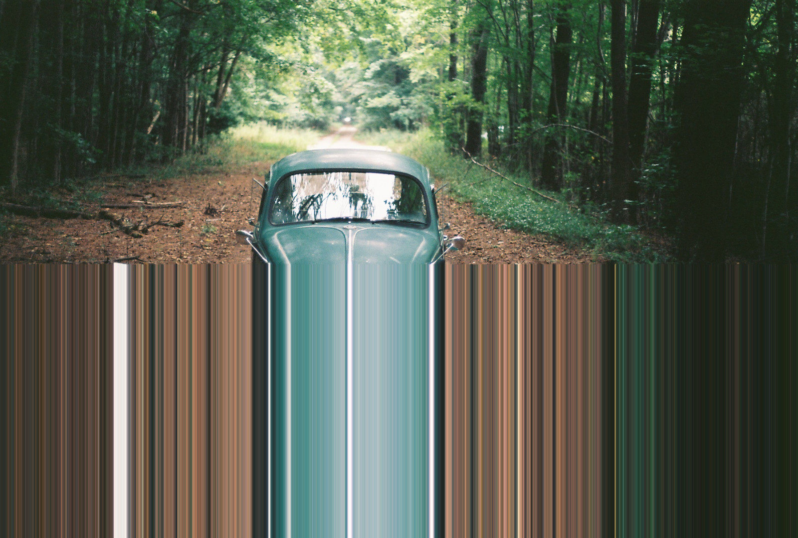 zelená, strom, tráva, dřevo