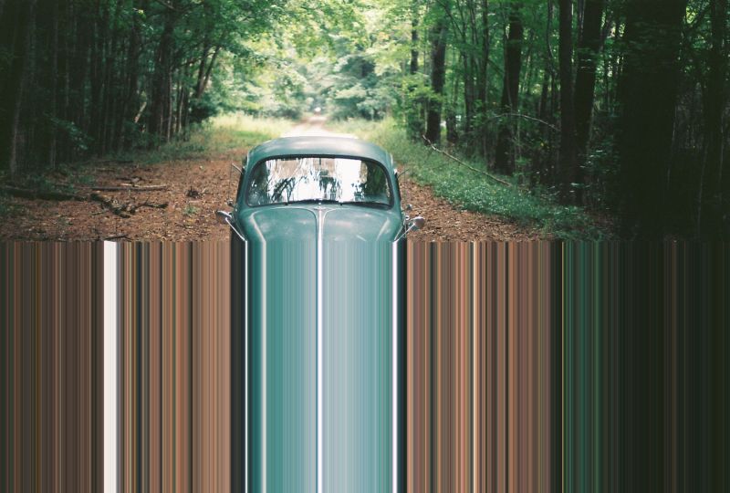 grøn, træ, græs, træ