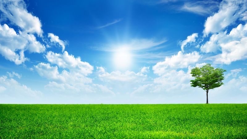 slunečnímu záření, krajina, tráva, nebe, pole, horizont