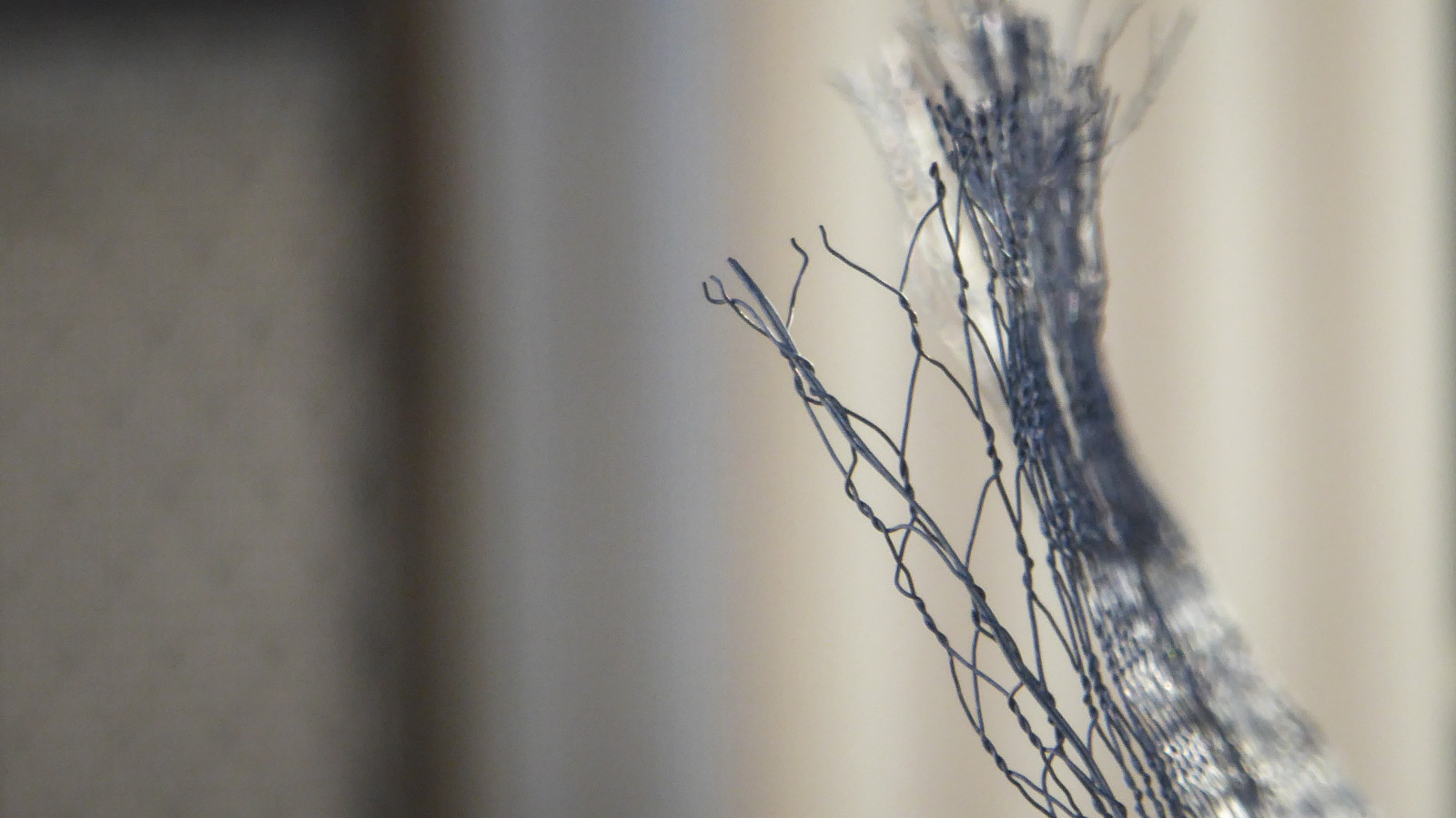 Wallpaper cat, food, wood, branch, metal, wire, Chicken, lace