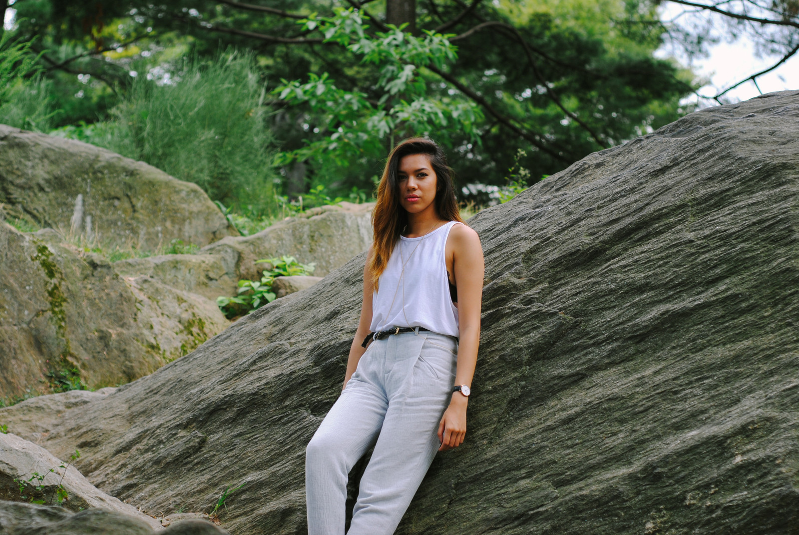 Baggrunde : hvid, sort, klippe, natur, græs, parkere, fotografering ...