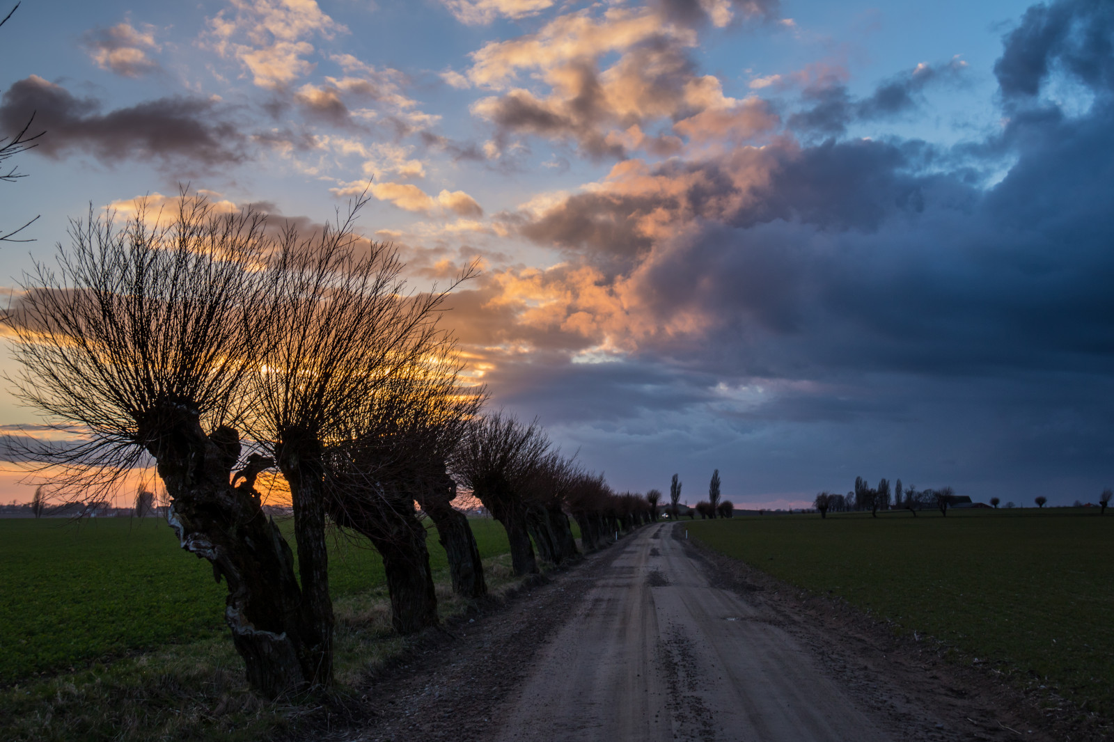 slunečnímu záření, krajina, západ slunce, kopec, Příroda, tráva, nebe, pole, svítání, večer, ráno, horizont, soumrak, Vrba, mrak, strom, podzim, svítání, rostlina, sezóna, nebe, solnedg ng, tr d, sk ne, venkov, moln, landsbygd, s dersl tt, landskap, pilar, PIL, piltr d, piletr d, zemědělství, prérie, venkov, atmosférický jev, dřevina, meteorologický jev