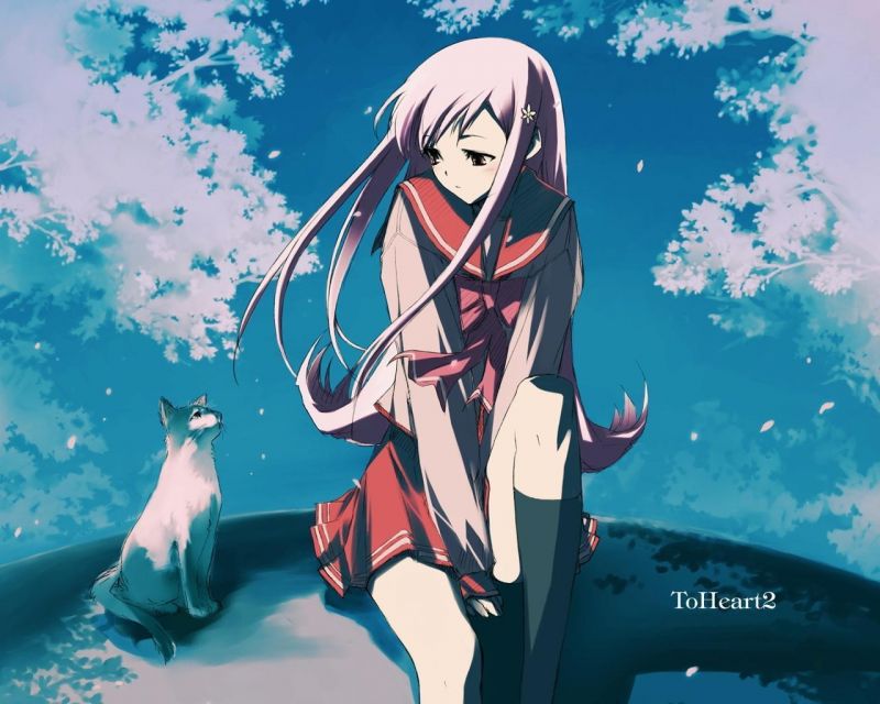 ilustrace, kočka, ulice, anime, noc, jaro