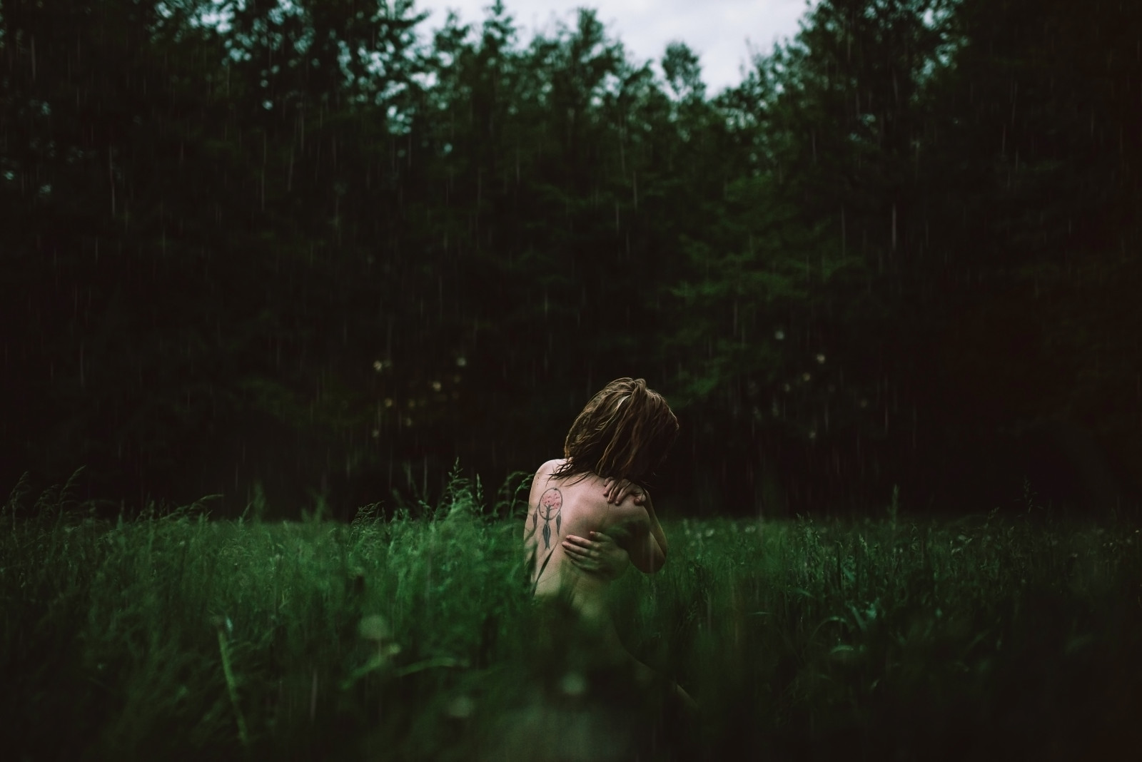slunečnímu záření, krajina, les, portrét, voda, Příroda, tráva, nebe, déšť, fotografování, tetování, bouřka, zelená, atmosféra, džungle, soumrak, 35MM, půlnoc, akt, strom, náladový, list, nahý, rostlina, dívka, tma, 365, louka, VSCO, autoportrét, nikond600, Snímek obrazovky, zálesí, ekosystém, tráva rodina, lapač snů, prales, prší, jev