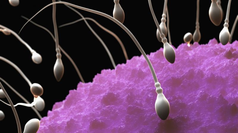 1920x1080 px,1sperm,abstrakt,abstraktion,bokeh,celle