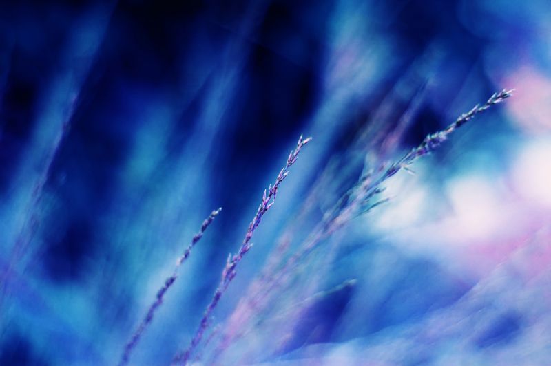 sollys, vand, natur, afspejling, himmel, lys sollys, vand, natur, afspejling, himmel, lys