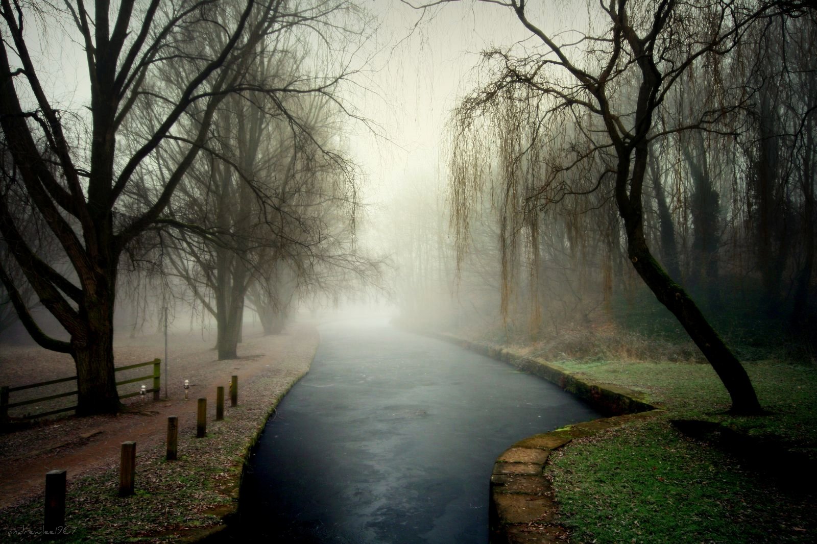 luce del sole, alberi, paesaggio, foresta, acqua, natura, riflessione, cielo, inverno, ramo, sera, mattina, nebbia, fiume, atmosfera, sentiero, UK, Banca, palude, zone umide, albero, nebbia, alveo, Bravo, bayou, canon400d, bosco, andrewlee1967, andrewlee, sfondo del computer, corso d'acqua, sigma1020mm, ghiacciato, fenomeno, golena, Tameside, Dukinfield, frozencanal