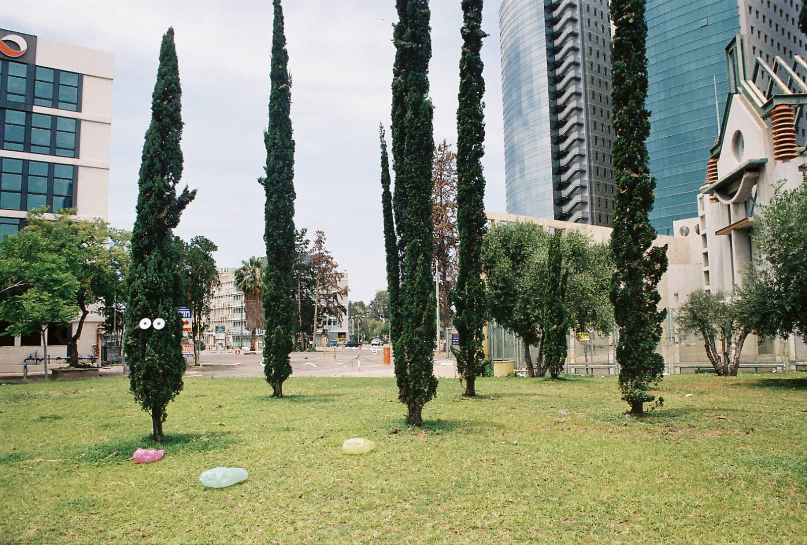 město, stvoření, budova, tráva, park, Taška, MM, Nylon, strom, rostlina, pouliční umění, film, analog, 35, rekreace, trávník, outdoor struktura, arecales, palma, misskaplan, disk