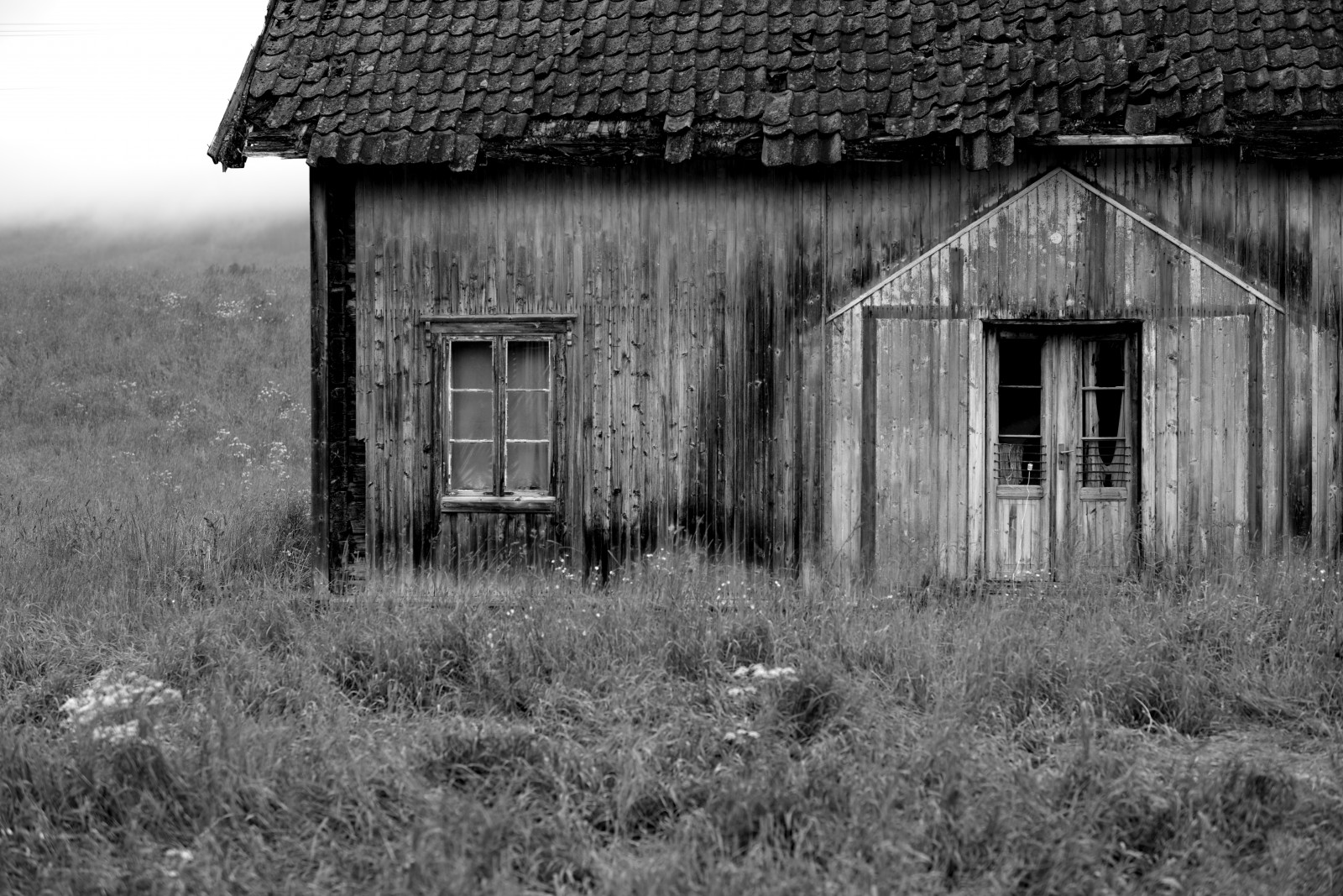 Wallpaper : landscape, old, window, dark, creepy, nature ...