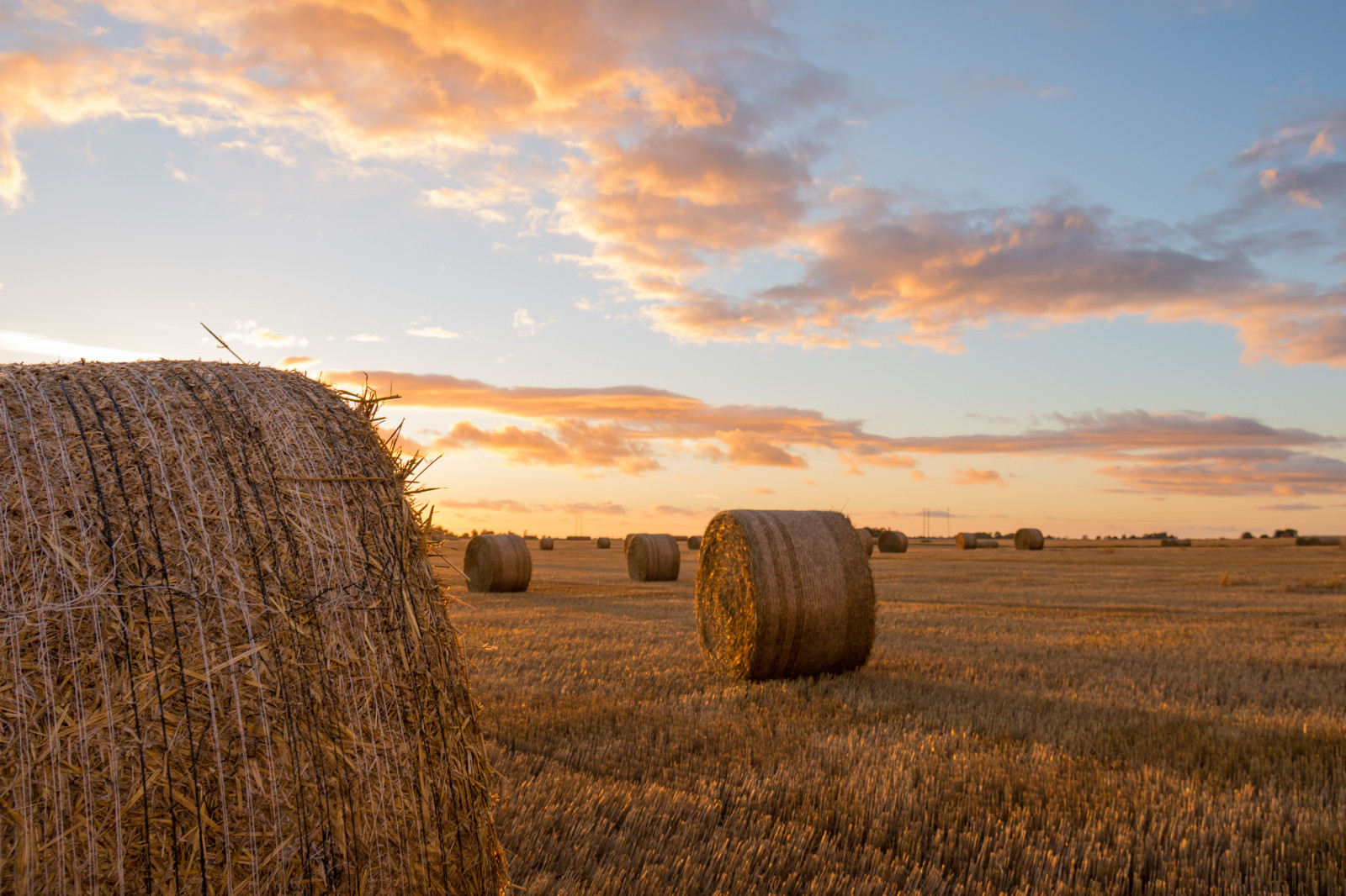 slunečnímu záření, krajina, západ slunce, tráva, nebe, pole, svítání, večer, ráno, horizont, seno, mrak, svítání, lučina, rostlina, zlatá hodina, nebe, solnedg ng, moln, s dersl tt, landskap, exif modelu canoneos760d, geocountry, Kamera aby kánon, geocity, Model fotoaparátu canoneos760d, geostate, geolocation, EXIF čočka efs18200mmf3556is, EXIF otvor 56, exif aby kánon, EXIF isospeed 100, exif focallength 18mm, s dra od, halmrulle, gyllenetimmen, stéblo, rohlíky, strawrolls, zemědělství, prostý, prérie, oříznutí, půda, venkov, tráva rodina