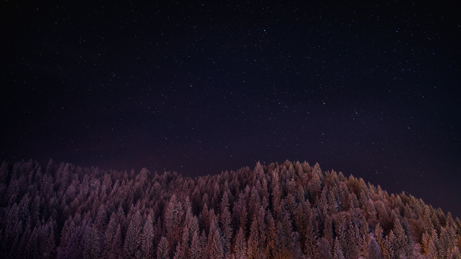 galáxia, floresta, noite, panorama, Árvores, fotografia, Estrelas