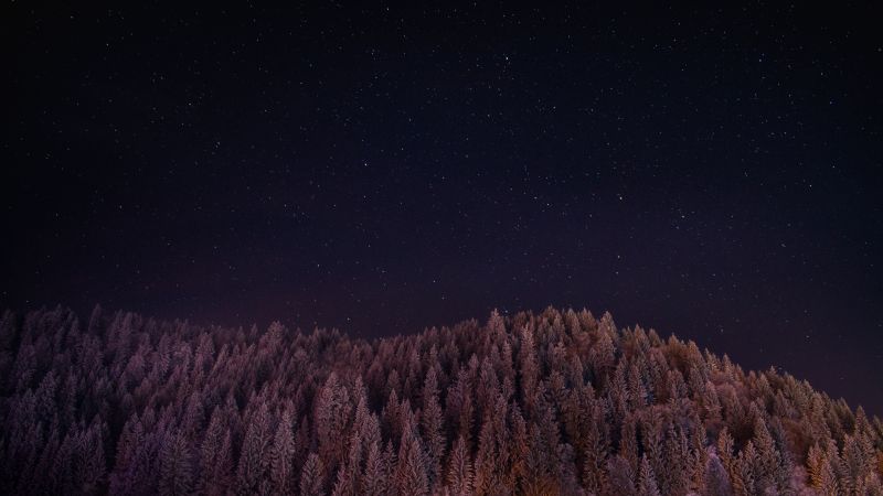 galaxie, les, noc, krajina, stromy, fotografování galaxie, les, noc, krajina, stromy, fotografování