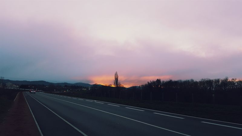 sunlight, trees, landscape, forest, sunset, nature sunlight, trees, landscape, forest, sunset, nature