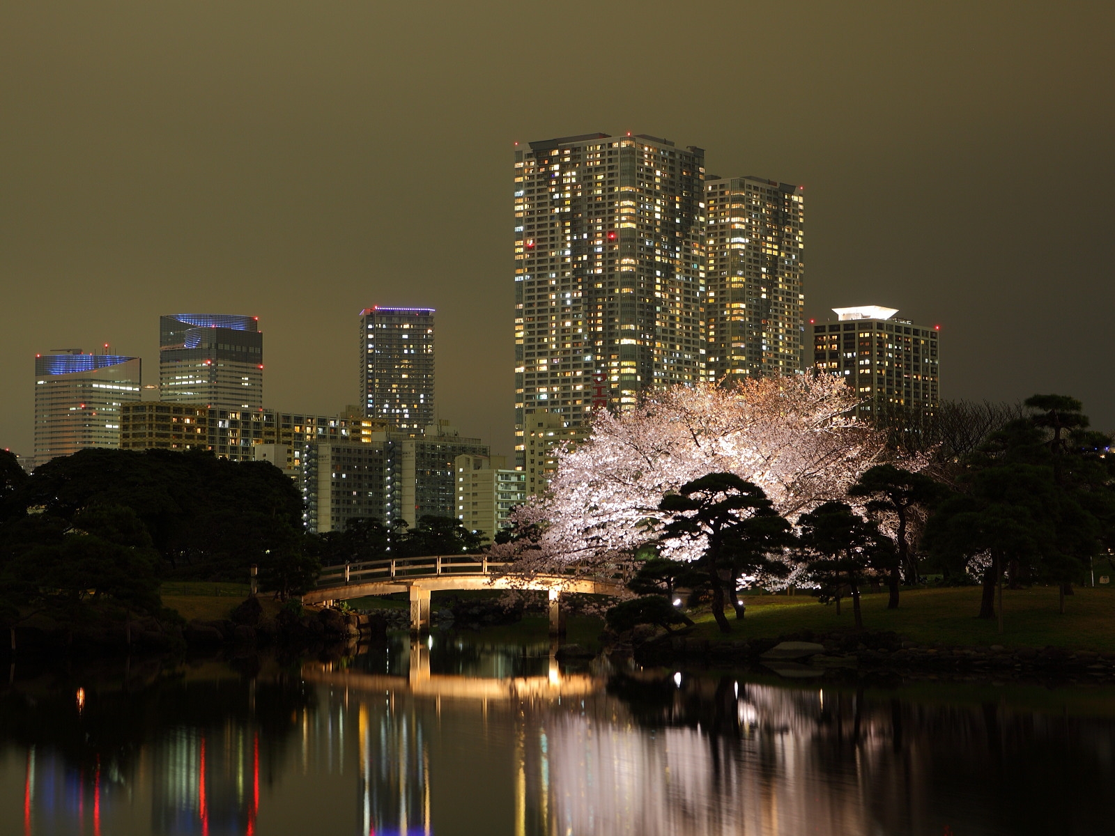 ciudad, Paisaje urbano, noche, arquitectura, agua, edificio, reflexión, cielo, horizonte, rascacielos, noche, torre, Luces de la ciudad, oscuridad, metrópoli, Tokio, árbol, centro de la ciudad, iluminación, condominio, punto de referencia, tiempo de día, área urbana, área metropolitana, Barrio residencial, bloque de pisos
