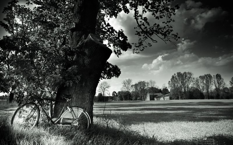 3840x2400 px,vélo,Monochrome,parc